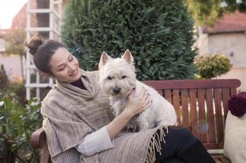 Comment montrer à son chien l’amour que l’on a pour lui ?