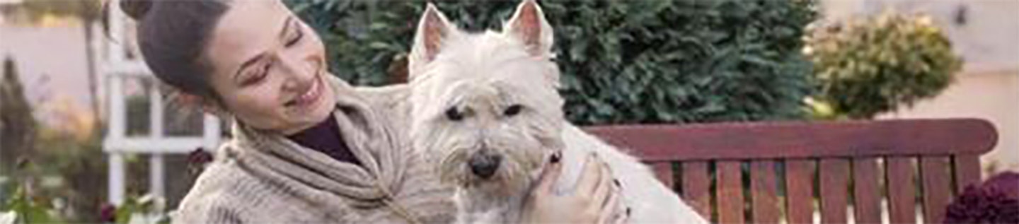 Comment montrer à son chien l’amour que l’on a pour lui ?