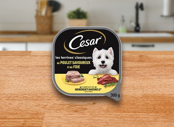 Les Terrines Classiques image