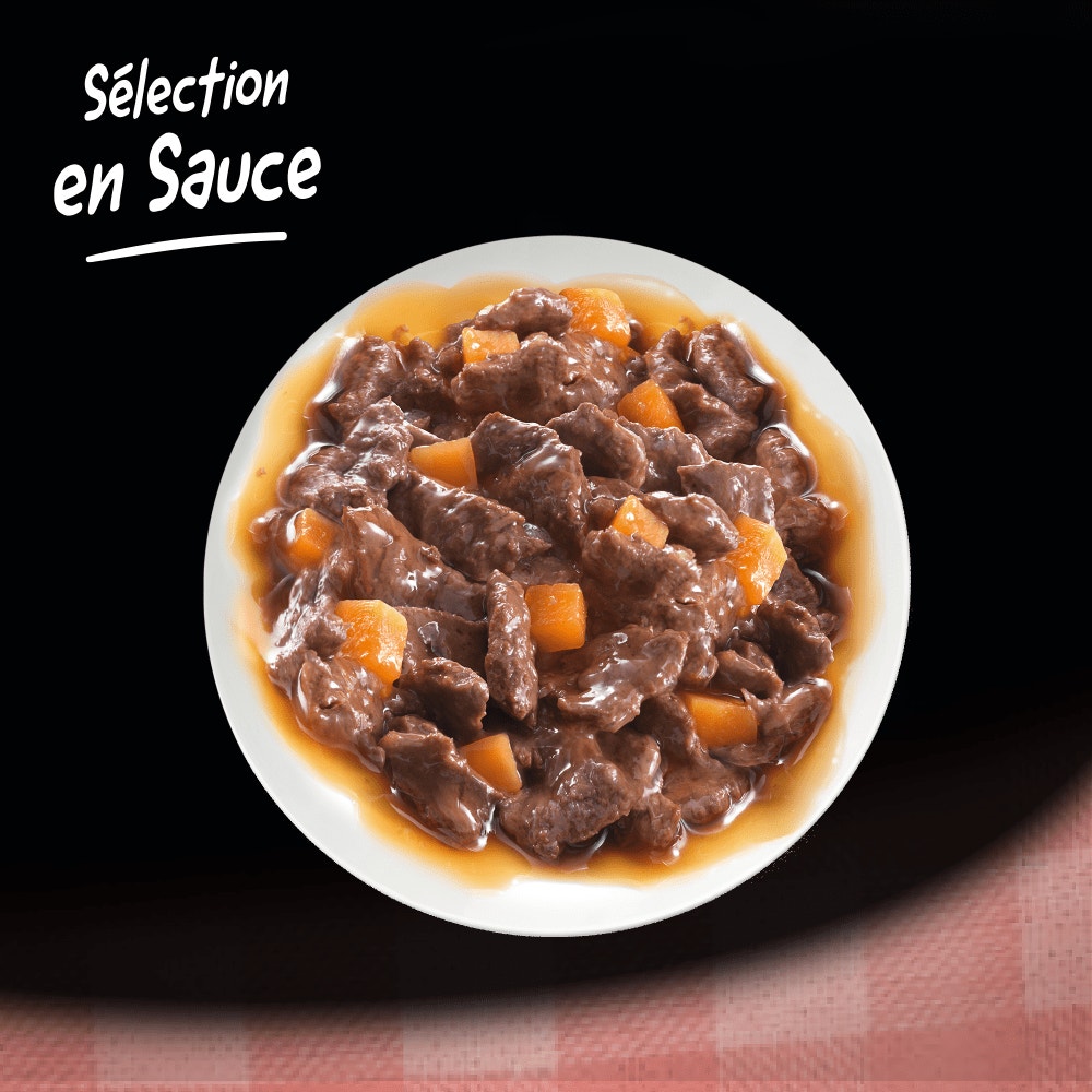 CESAR® Sachet Fraîcheur Sélection En Sauce 12 X 100g - 4