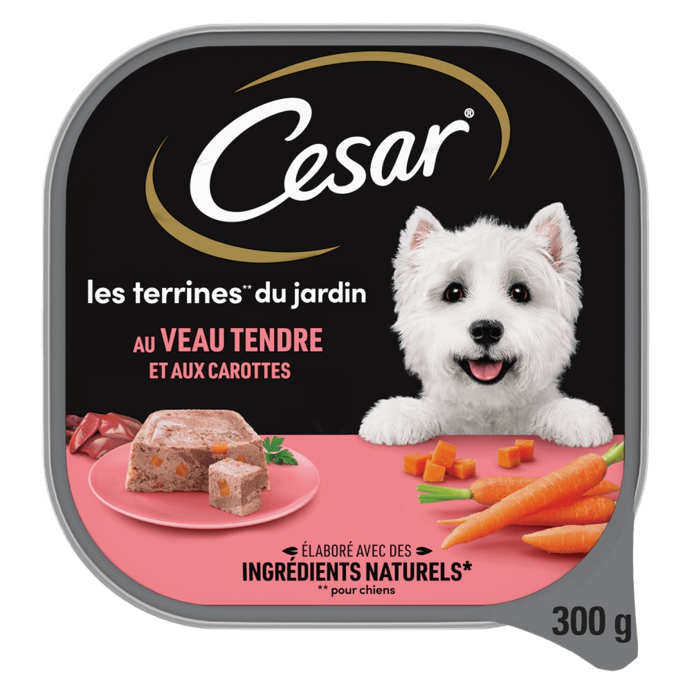 CESAR® Barquettes - Les Terrines Du Jardin Au Veau Tendre Et Aux Carottes 300g - 1