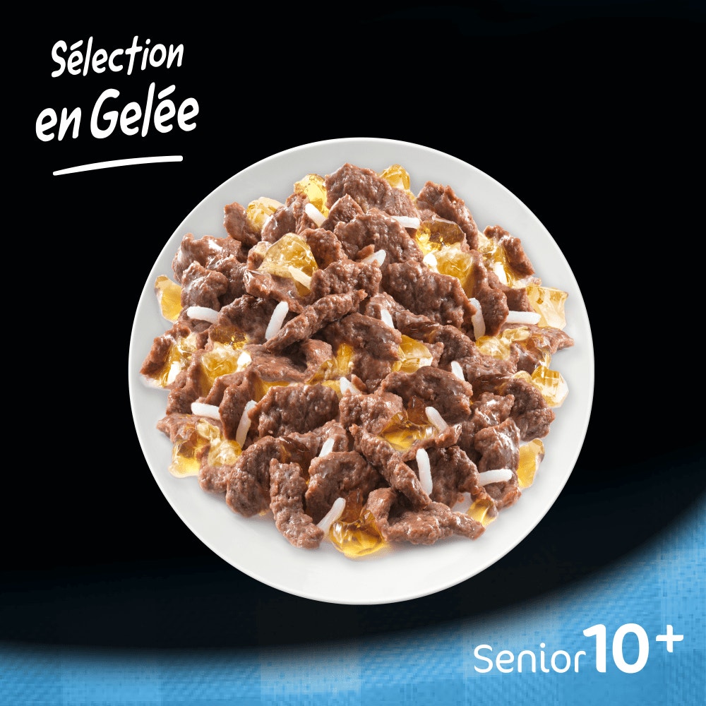 CESAR® Senior 10+ Sachet Fraîcheur Sélection En Gelée 12 X 100g - 4