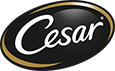 Cesar FR logo